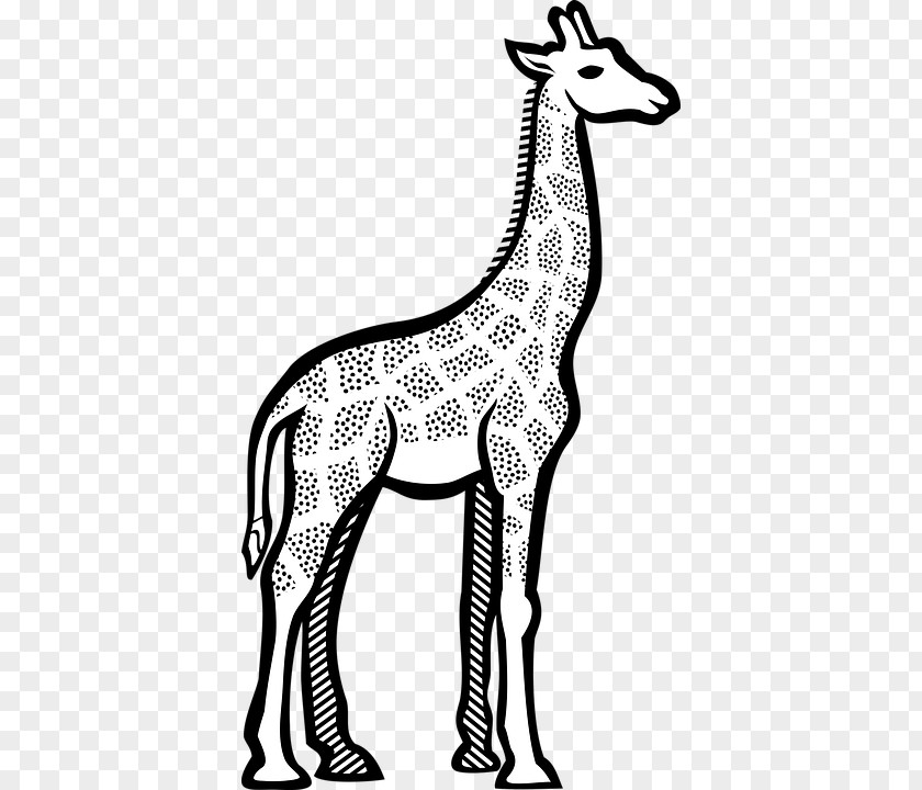 Giraffe Clip Art Line Vector Graphics Drawing PNG