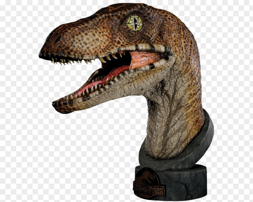 Statue Head Velociraptor Deinonychus Dilophosaurus Jurassic Park Bust PNG