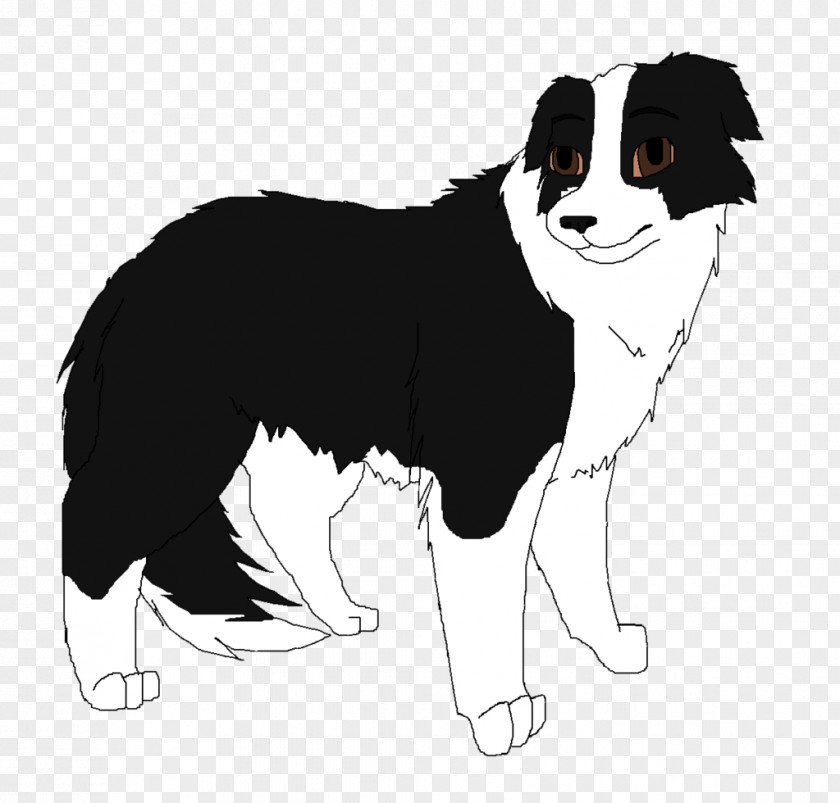 Traditional Border Collie Dog Breed Puppy Rough Companion PNG