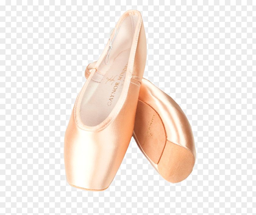 Ballet Flat Pointe Shoe Gaynor Minden Dance PNG