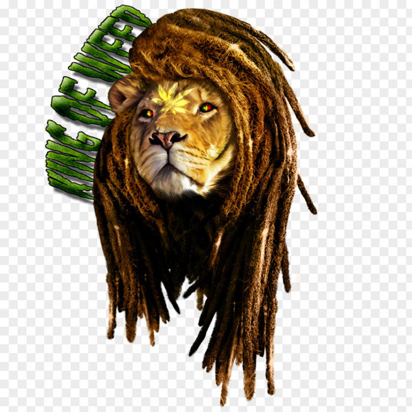 Bob Marley T-shirt Hoodie Lion Rastafari PNG