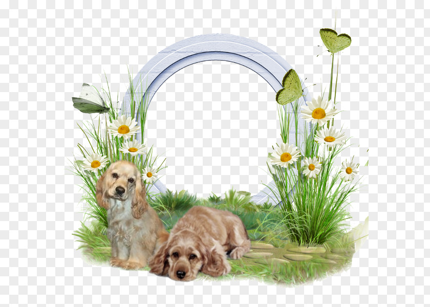 Dogs And Plants White Border Puppy Dog Breed PNG
