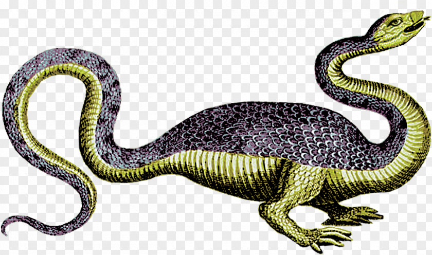 Foot Long Snake Engraving Printing Dragon Monster PNG