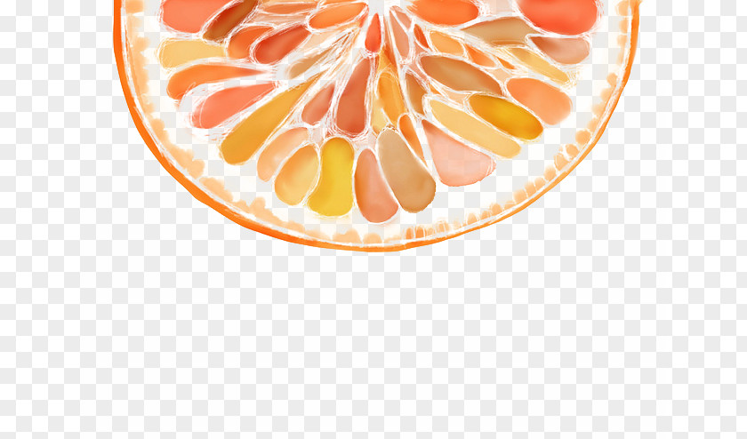 Grapefruit Decoration Juice Yuja Tea Pomelo Orange PNG