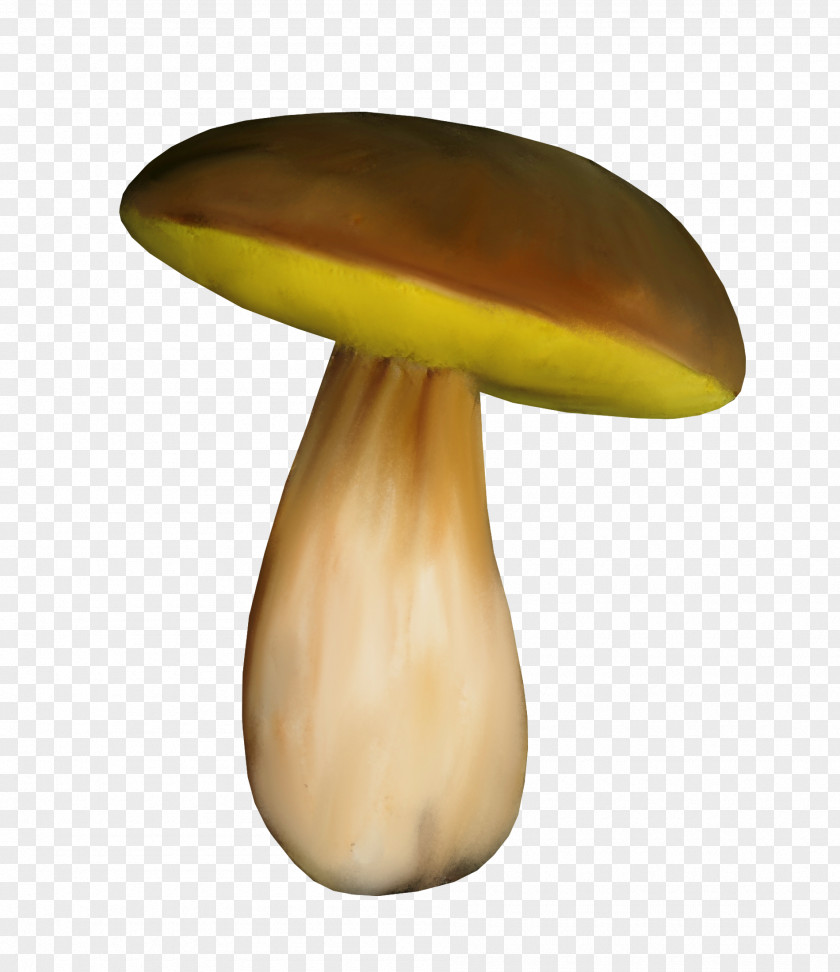 Mushroom Fungus Food Common PNG