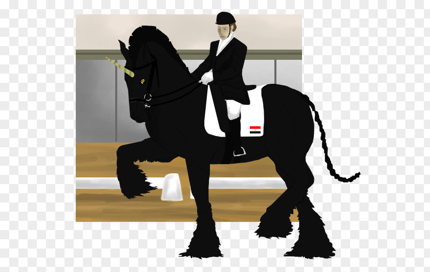 Mustang Stallion Dressage Rein Pony PNG