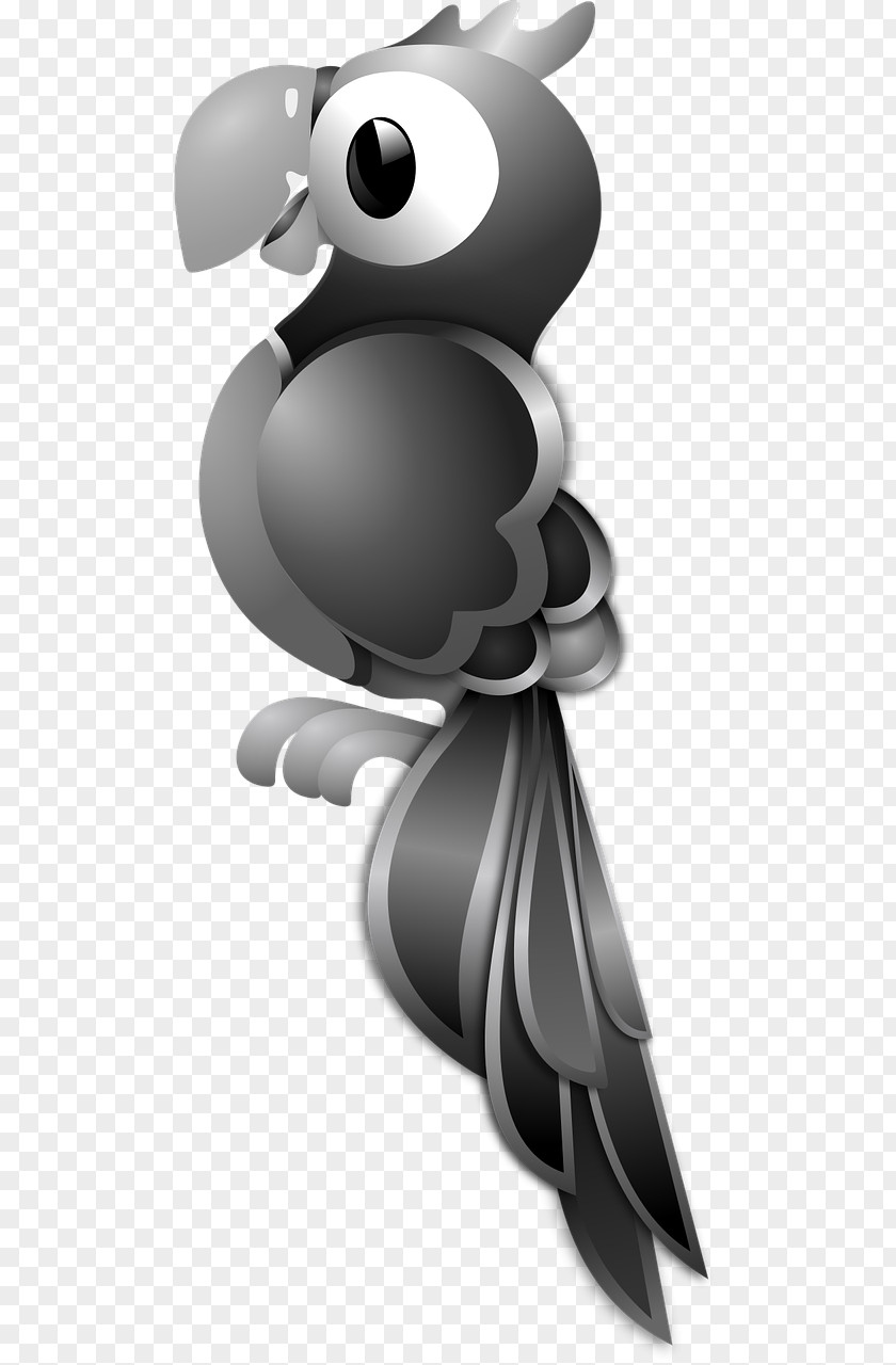 Parrot Bird Grayscale Clip Art PNG