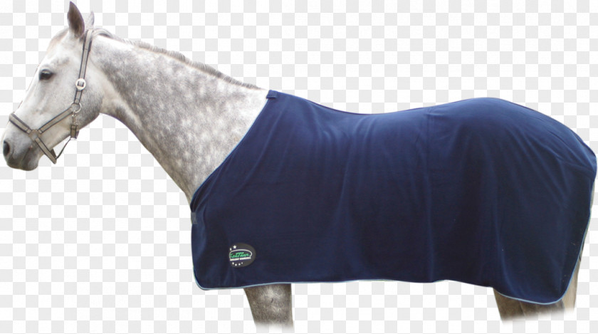 Powder Sequins Horse Tack Rein Halter Blanket PNG