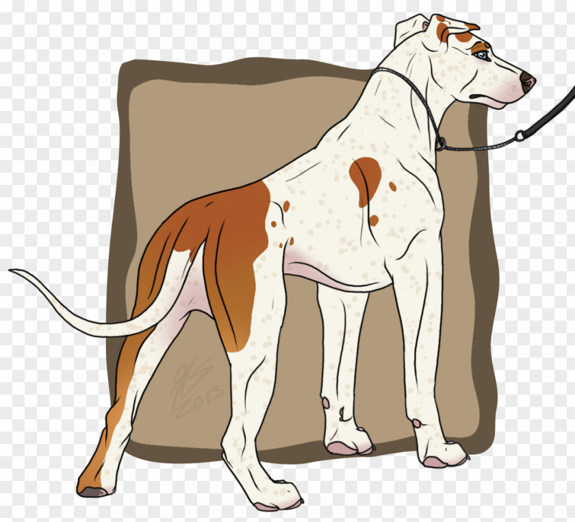 Tales From Earthsea Dog Breed Spanish Greyhound Whippet 07701 PNG