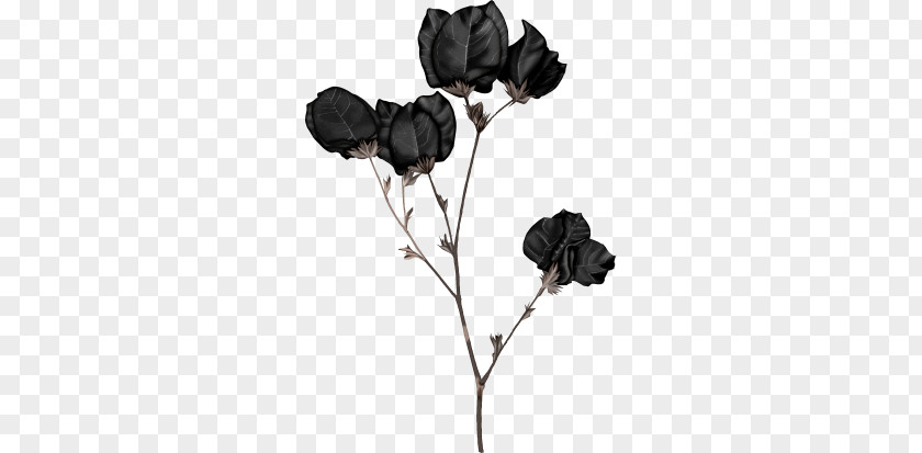 Black Flowers PNG flowers clipart PNG