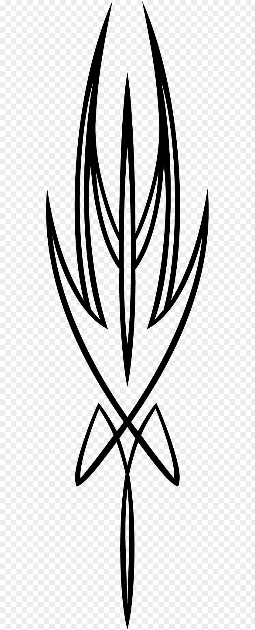 Clip Art Leaf Line Symmetry Flower PNG