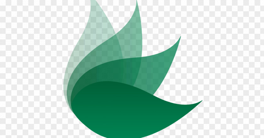 Design Logo Green Desktop Wallpaper PNG