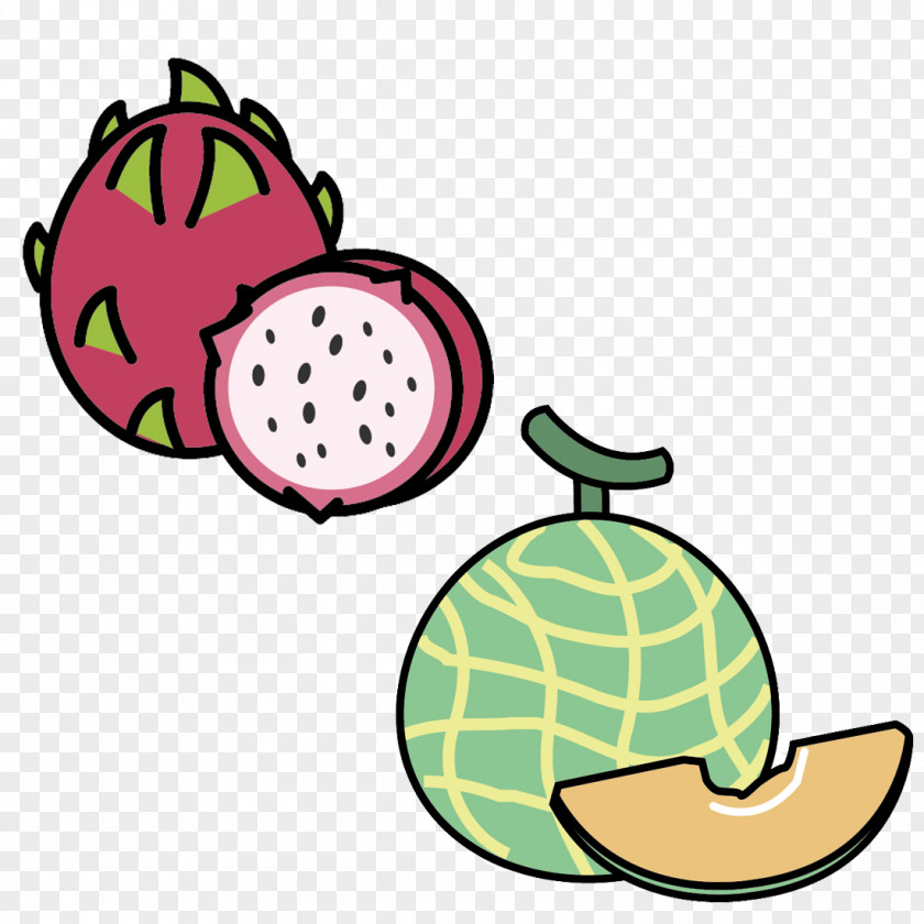 Dragon Fruit Clip Art Illustration Pitaya Cartoon PNG
