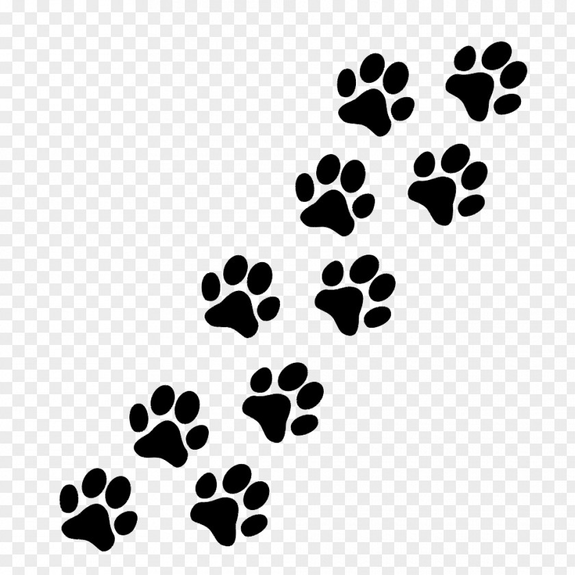 Foot Prints Paw Puppy Cat Pug Clip Art PNG