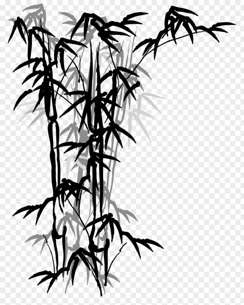 Ink Chinese Tropical Woody Bamboos Bamboo Painting Drawing Fargesia Murielae PNG