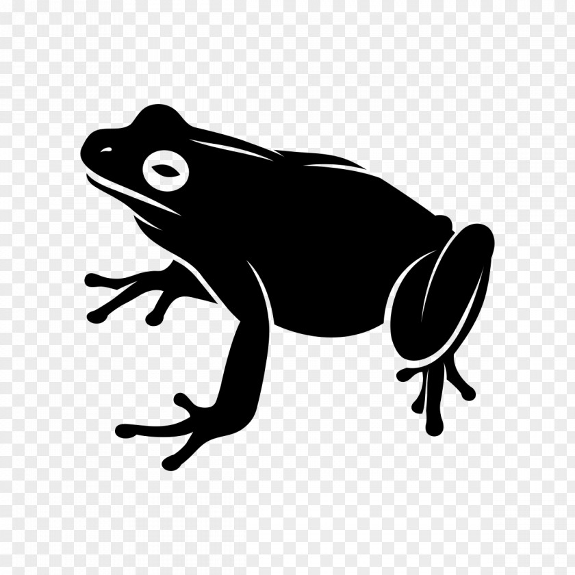 Phyllobates Bufo Tree Stencil PNG