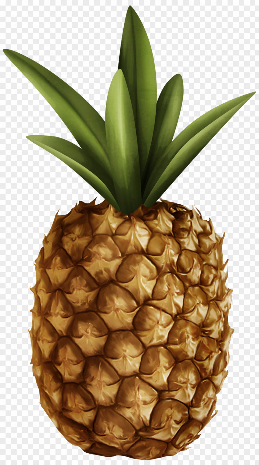 Pineapple Juice Fruit Banana Clip Art PNG
