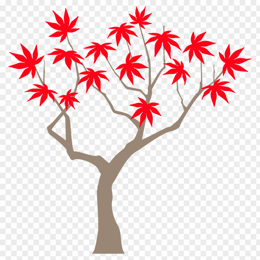 Plant Stem Branch Autumn Maple Tree PNG