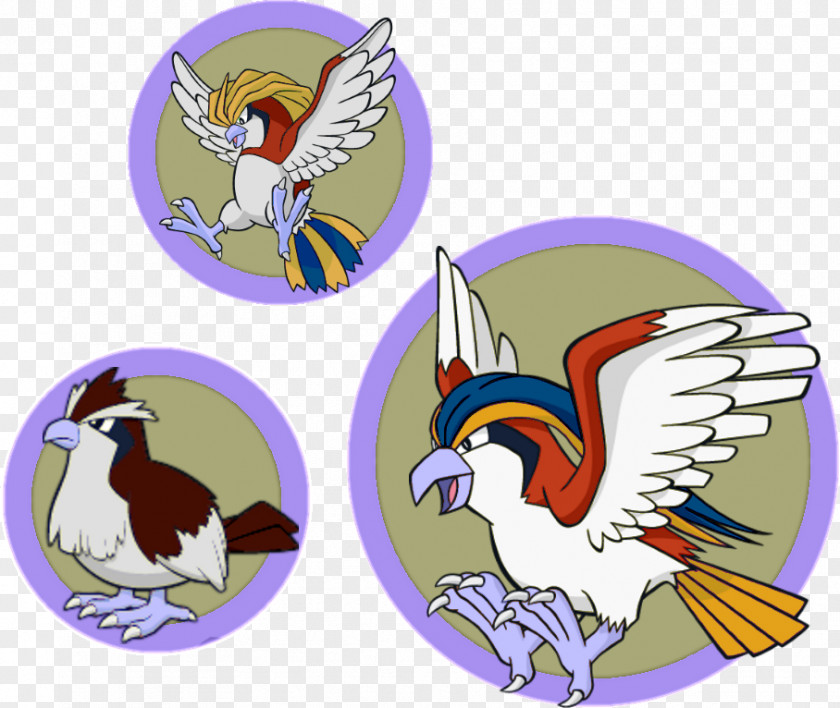 Pokemon Pidgeotto Pokémon Pokédex PNG