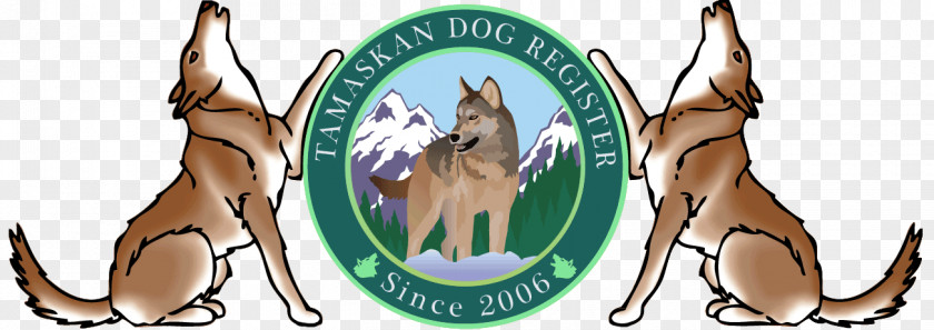 Puppy Tamaskan Dog Canidae Breed PNG