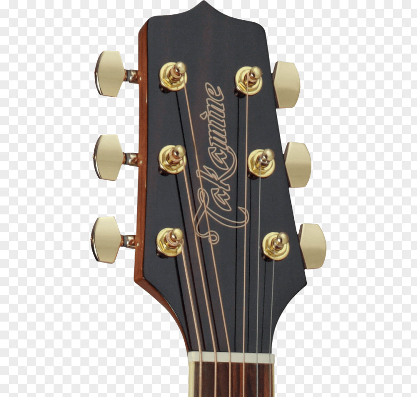 Acoustic Guitar Takamine Guitars Dreadnought Acoustic-electric PNG