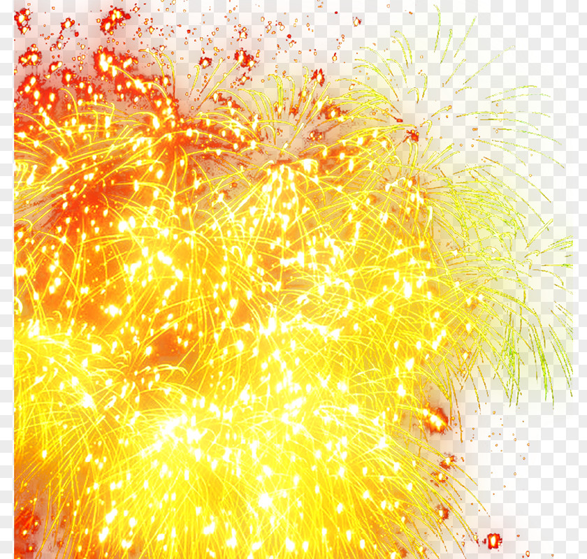 Fireworks Sumidagawa Festival PNG