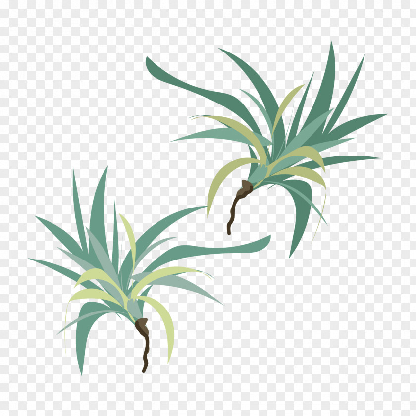 Leaf Grasses Plant Stem Evergreen INAV DBX MSCI AC WORLD SF PNG