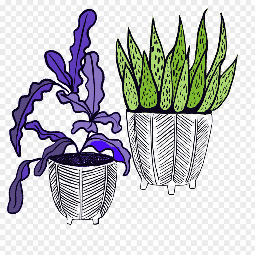 Organism Leaf Purple Watercolor Flower PNG