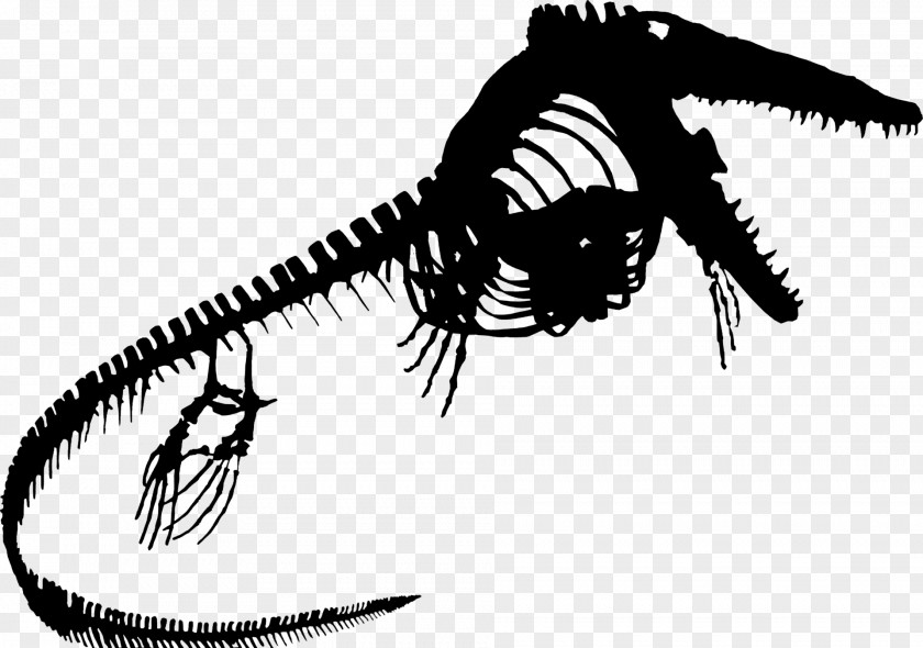Tyrannosaurus Font Invertebrate PNG
