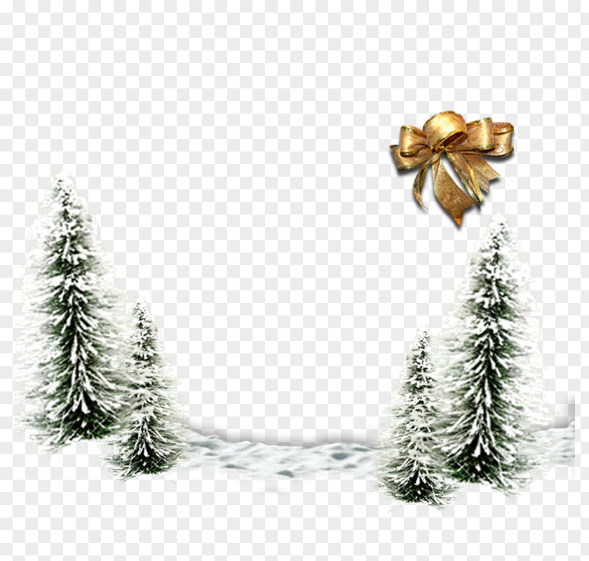 Winter Tree Christmas Wallpaper PNG