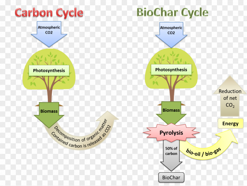Biochar Soil Conditioner Organization PNG