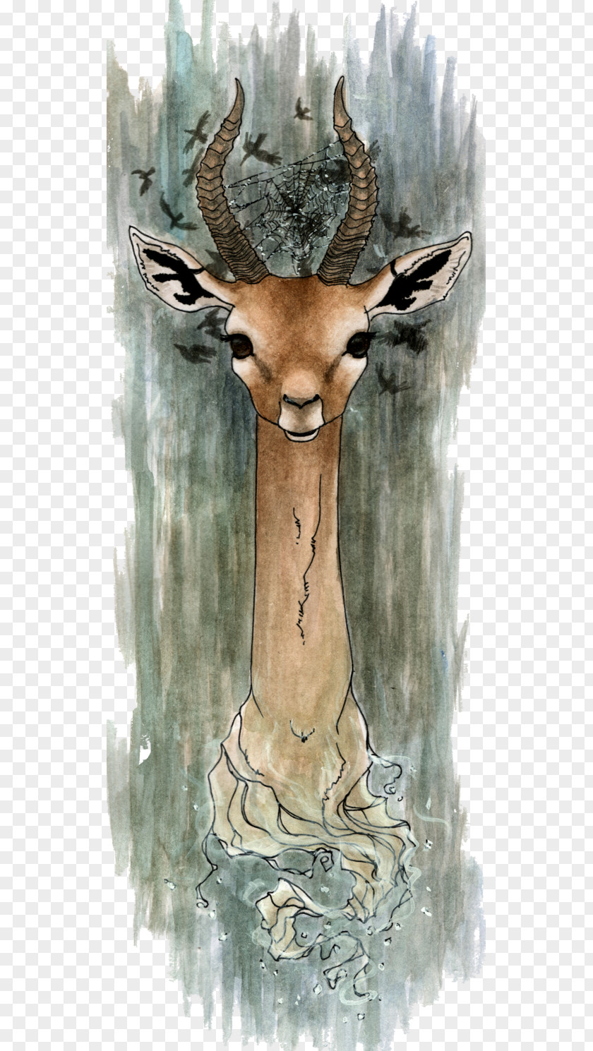 Giraffe Elk Kudu Antler PNG