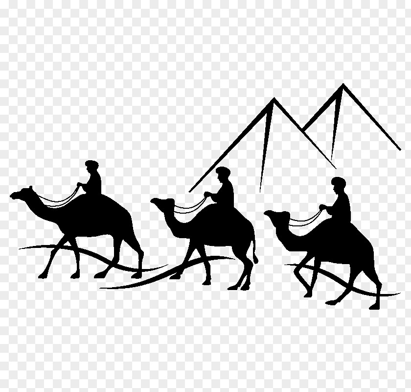 Horse Bactrian Camel Train Clip Art PNG