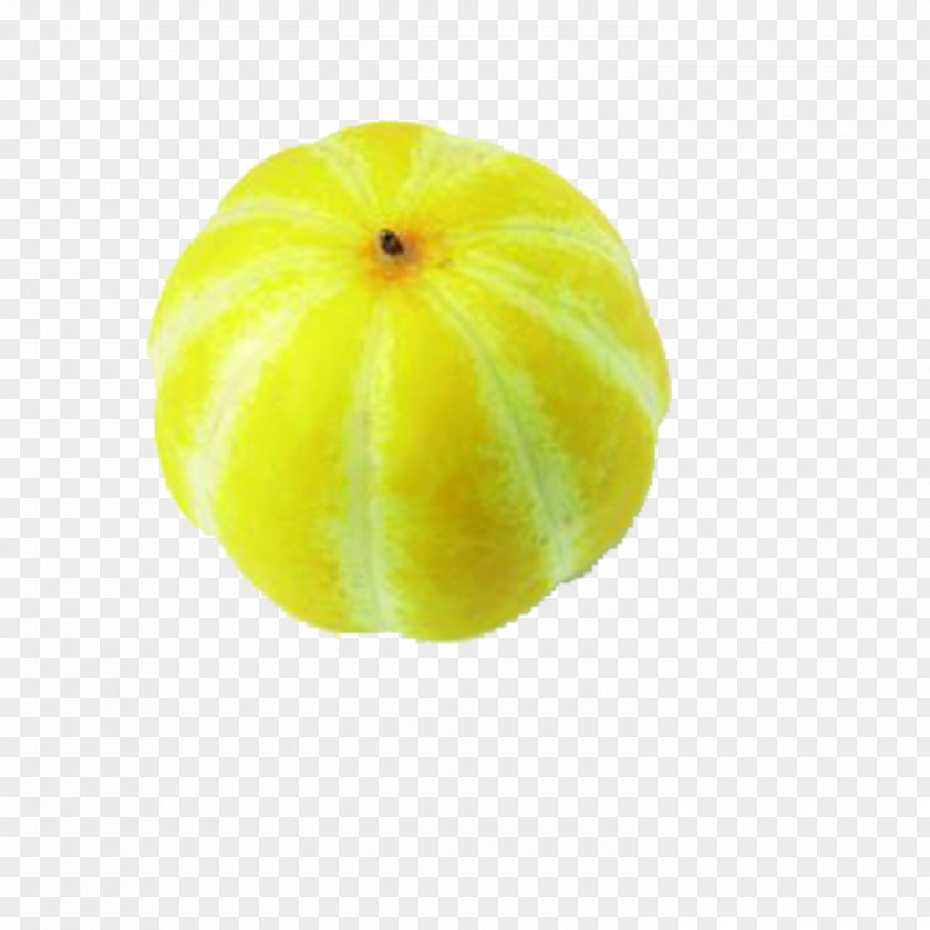 Muskmelon Citron Lemon Cucurbita Melon PNG