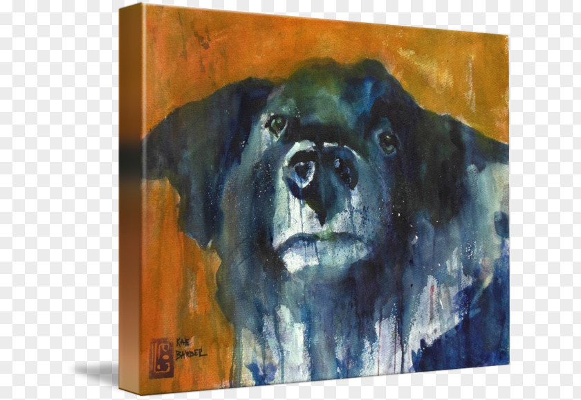 Painting Dog Breed Watercolor Sporting Group Retriever PNG
