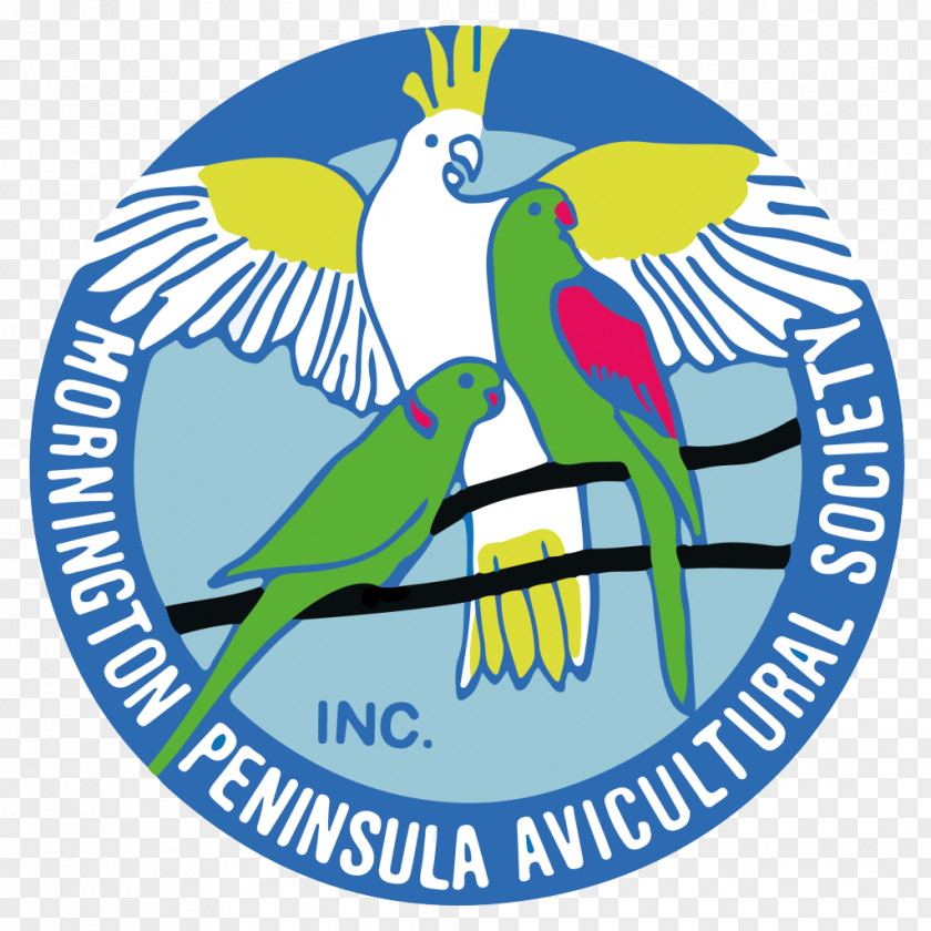 Bird MPAS Mornington Peninsula Avicultural Society Parrot Aviculture Macaw PNG
