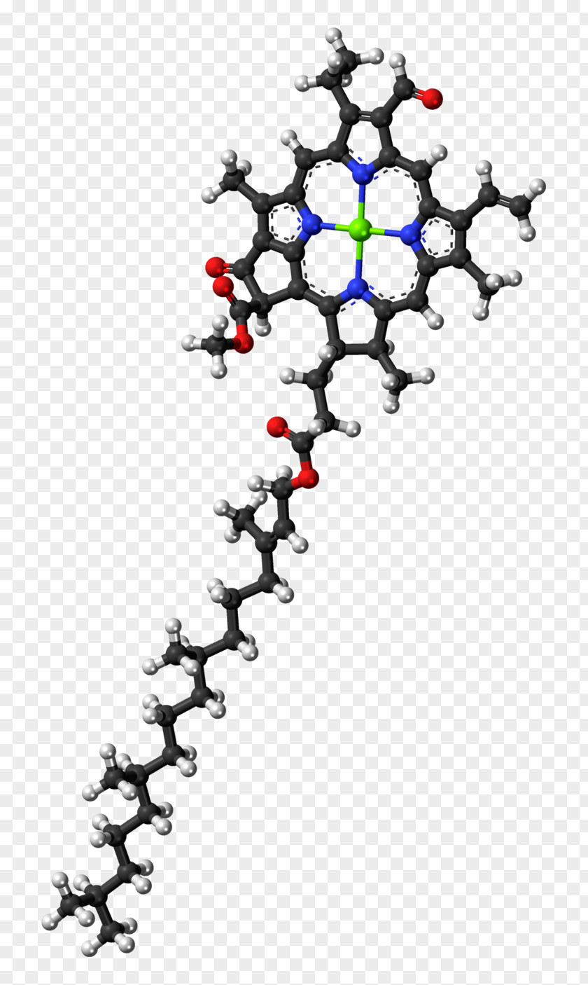 Chlorophyll A B Molecule Photosynthesis PNG