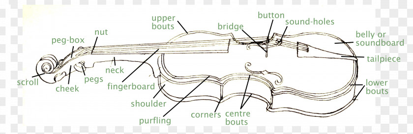 Creative Violin Diagram Bow Viola Ukulele PNG