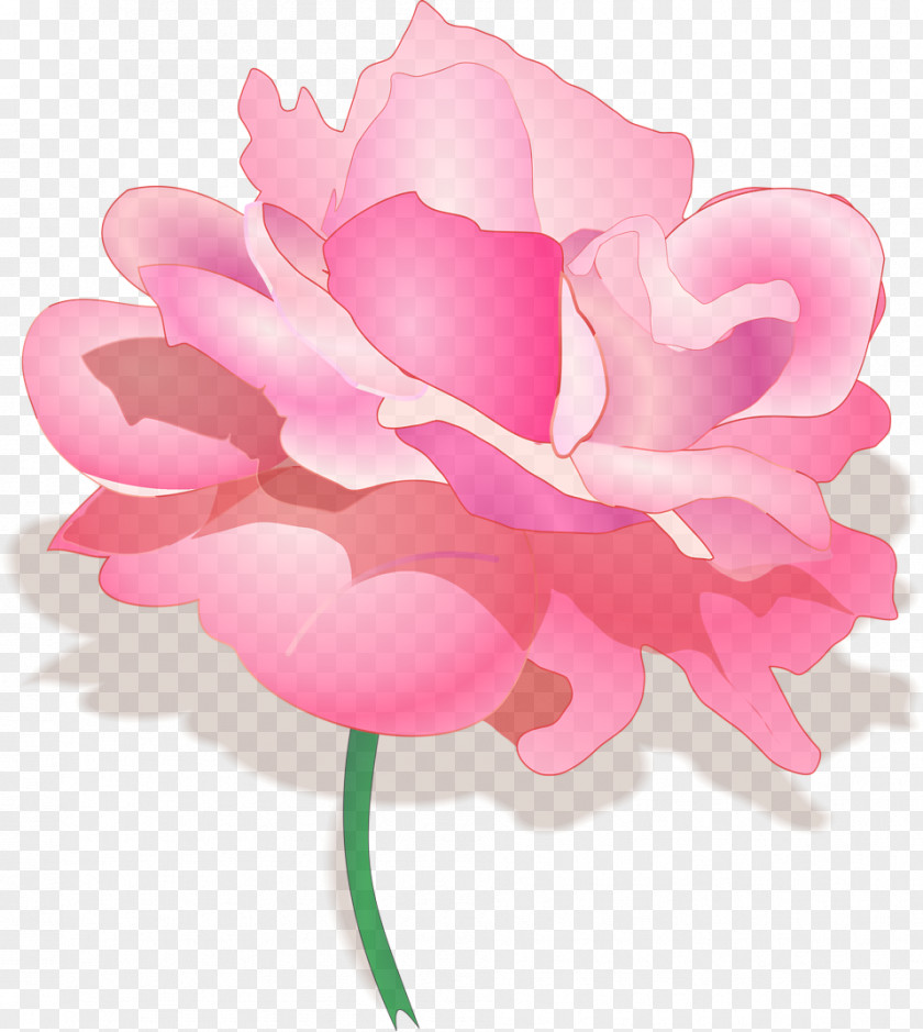 Cut Flowers Flowering Plant Pink Petal Flower Clip Art PNG