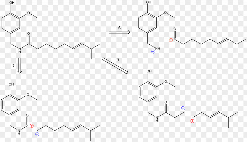 Diazepam Printer-friendly Drug Metabolism Information CYP2D6 PNG