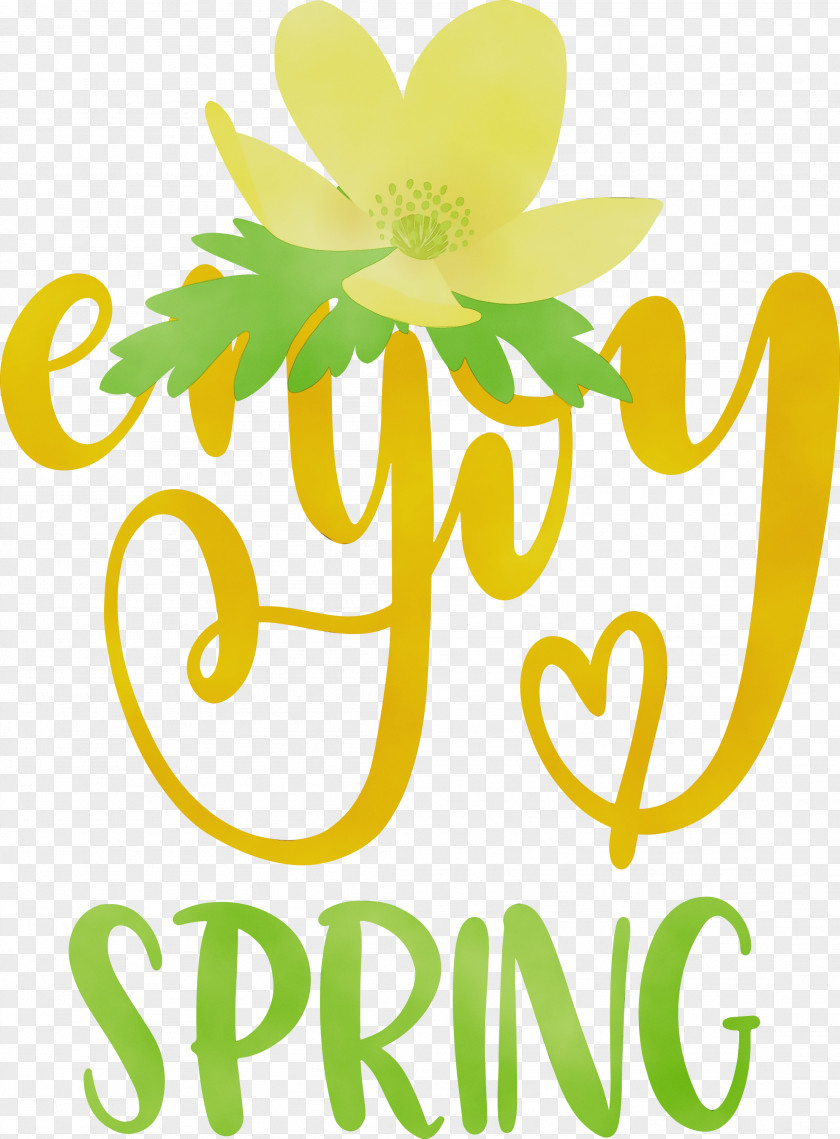 Floral Design PNG