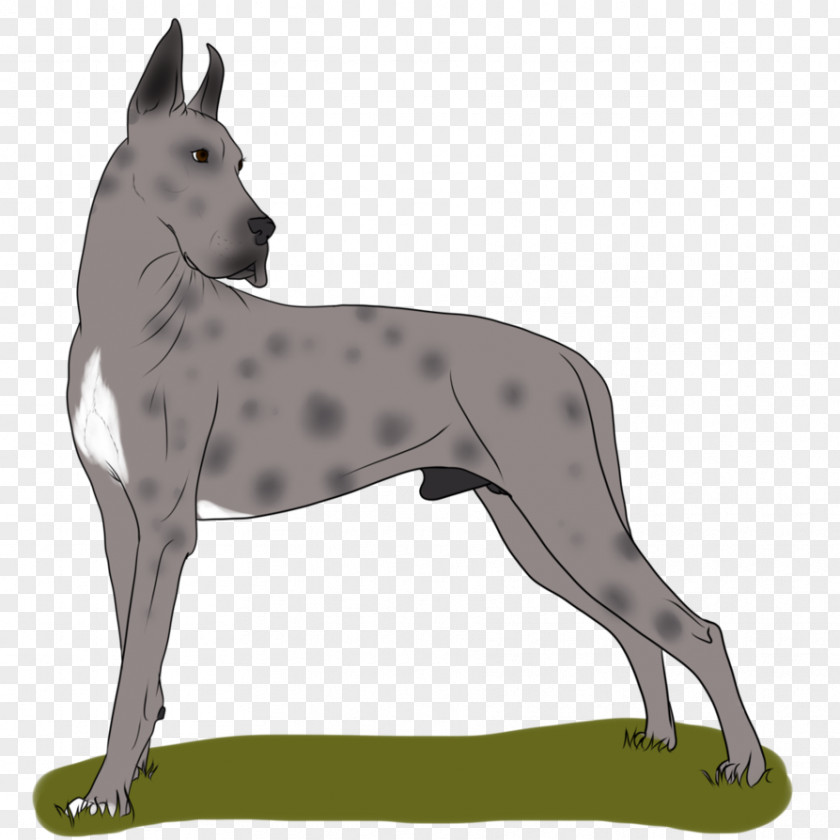Great Dane Silhouette Dog Breed Non-sporting Group PNG