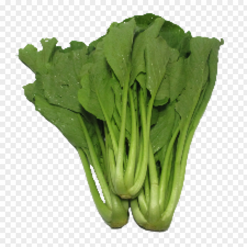 Lettuce Choy Sum Leaf Vegetable Chinese Broccoli PNG