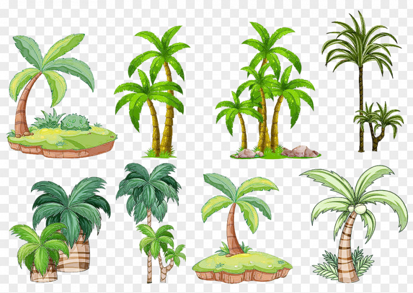 Palm Tree PNG