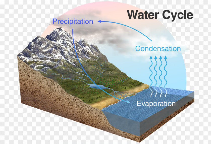 Science Bible Catholic University Of Pelotas Water Cycle Resources PNG