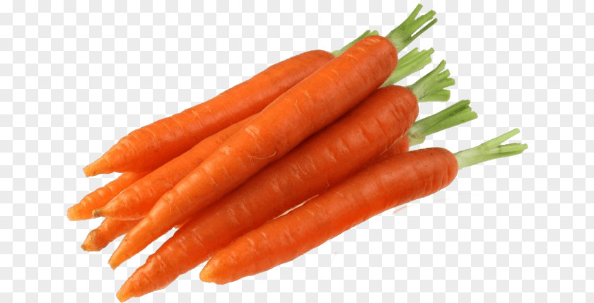 Carrot Plant Juice Baby Vegetable Rabbit PNG