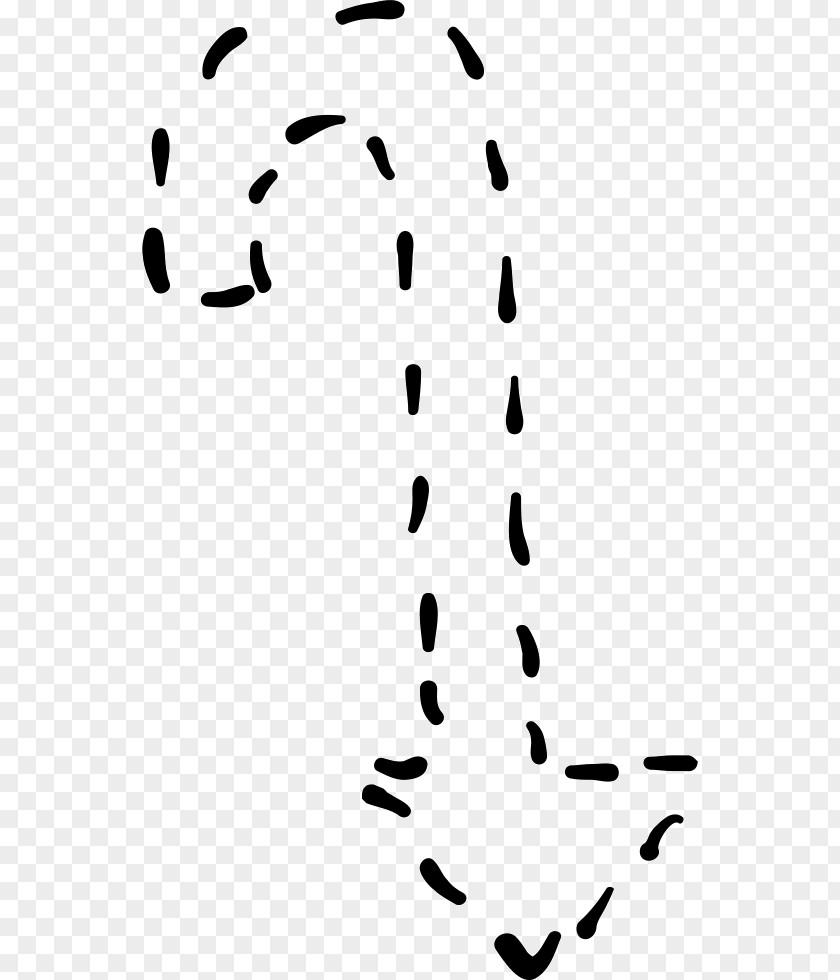 Line Clip Art Curve PNG