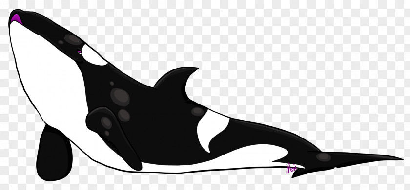 M Clip ArtShark Transparent Background High-heeled Shoe Marine Mammal Black & White PNG