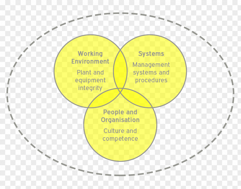 Safety Culture Present Continuous Circle Diagram Organism Tense PNG