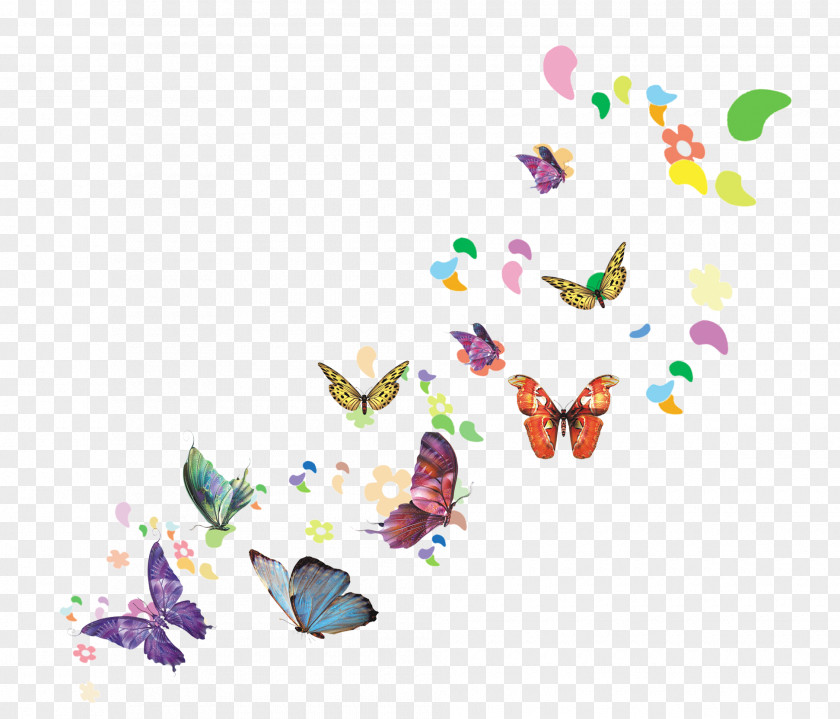 Butterfly Download Spring Illustration PNG